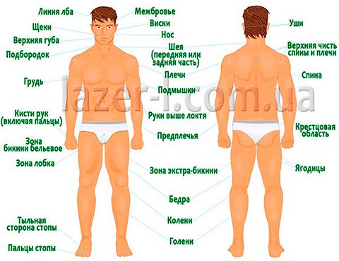 Эпиляция зоны бикини у мужчин – эстетика и гигиена вашего тела